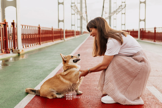 woman on bridge shaking dog paw