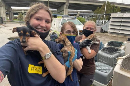 Foundation Emergency Funding for 2 Animal Rescue Groups
