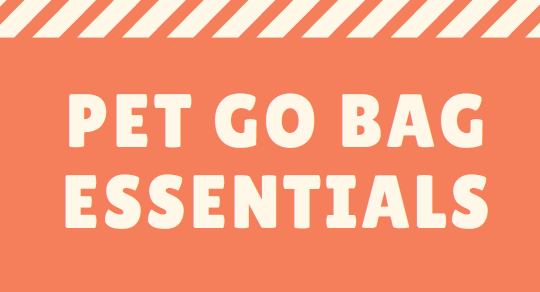 Emergency Go Bag Checklist for Dogs and Cats