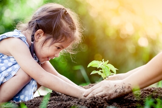 Fighting Climate Change: A Practical Approach That Works