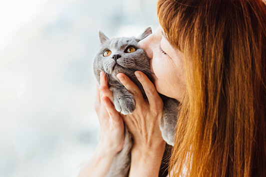 National Cat Lover