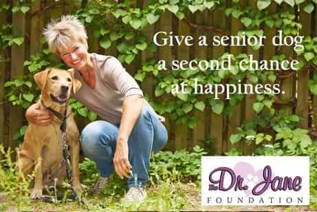 Dr Jane Second Chance