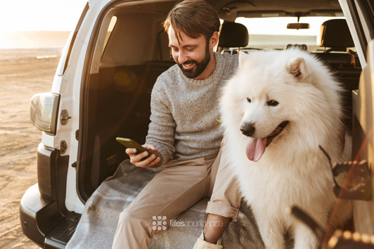 man looking at phone with dog next to him in car