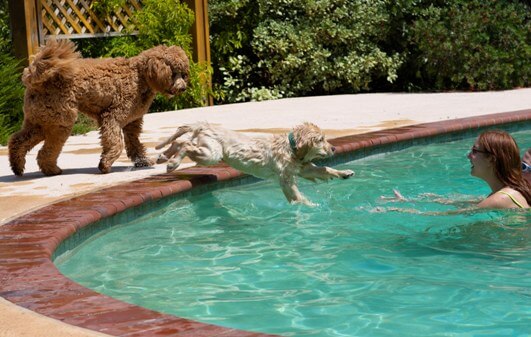 Dakota-and-Oliver