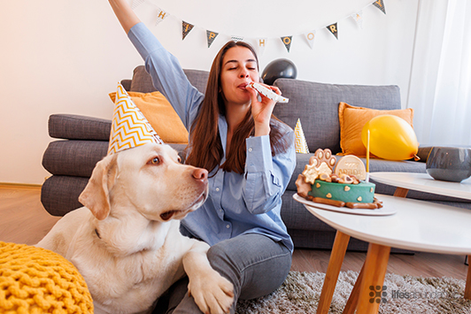 Celebrate Your Dog