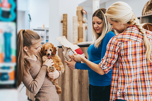 shopping for pet products