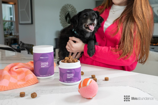The Beginner’s Guide to Dog Supplements