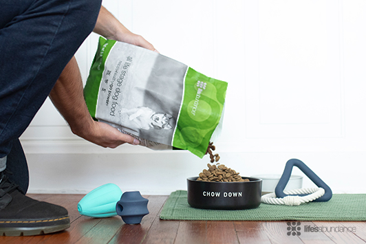 Calling All Pet Owners Scooping Poop Just Got Easier