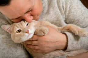 Cat Hug