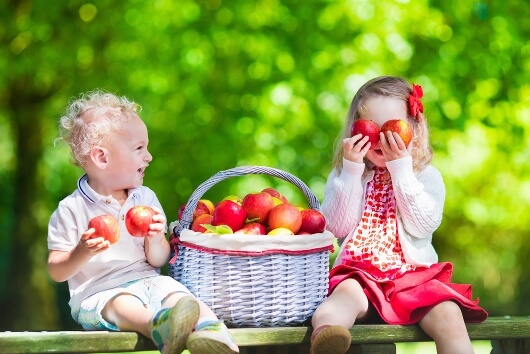 Apples for Dogs: Red, Green or Cooked?
