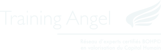 Training Angel - Logo