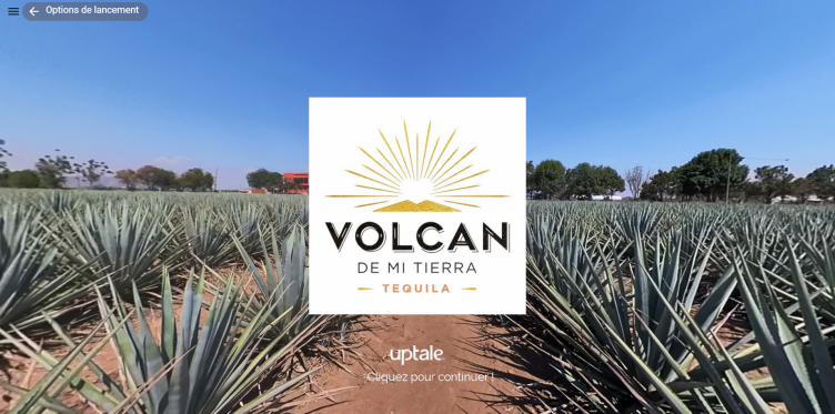 Volcan\u0020de\u0020Mi\u0020Tierra\u0020\u0026\u00238211\u003B\u0020LVMH\u0020\u0026\u00238211\u003B\u0020Moet\u0020Henessy