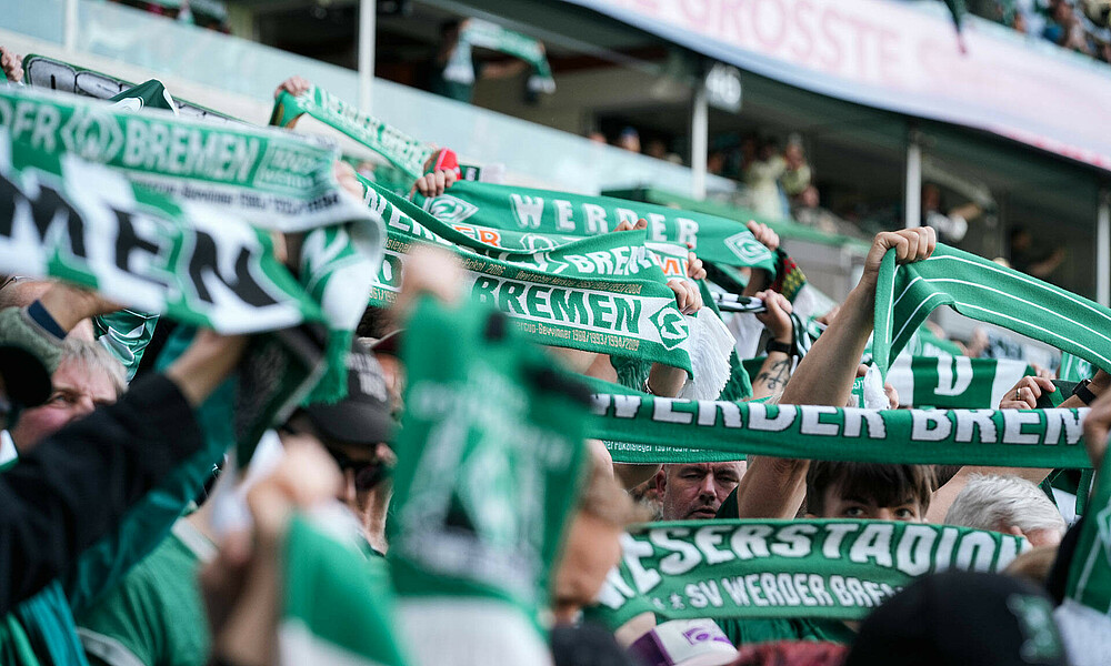 Werder-Schals, die in die Höhe gestreckt werden