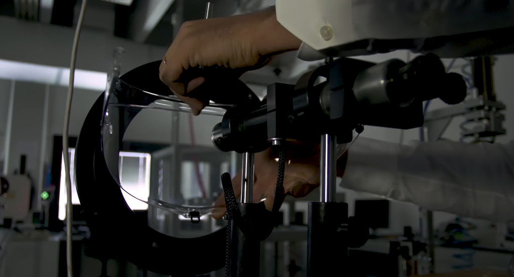 The visor distortion test 