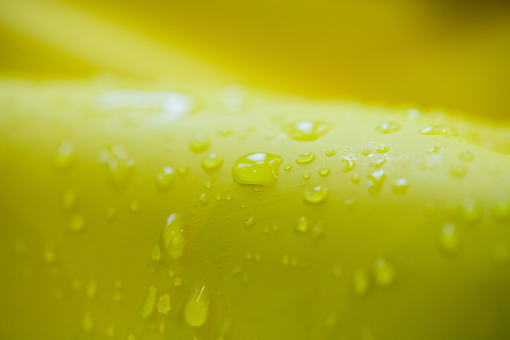 Storm 2 unisex jacket