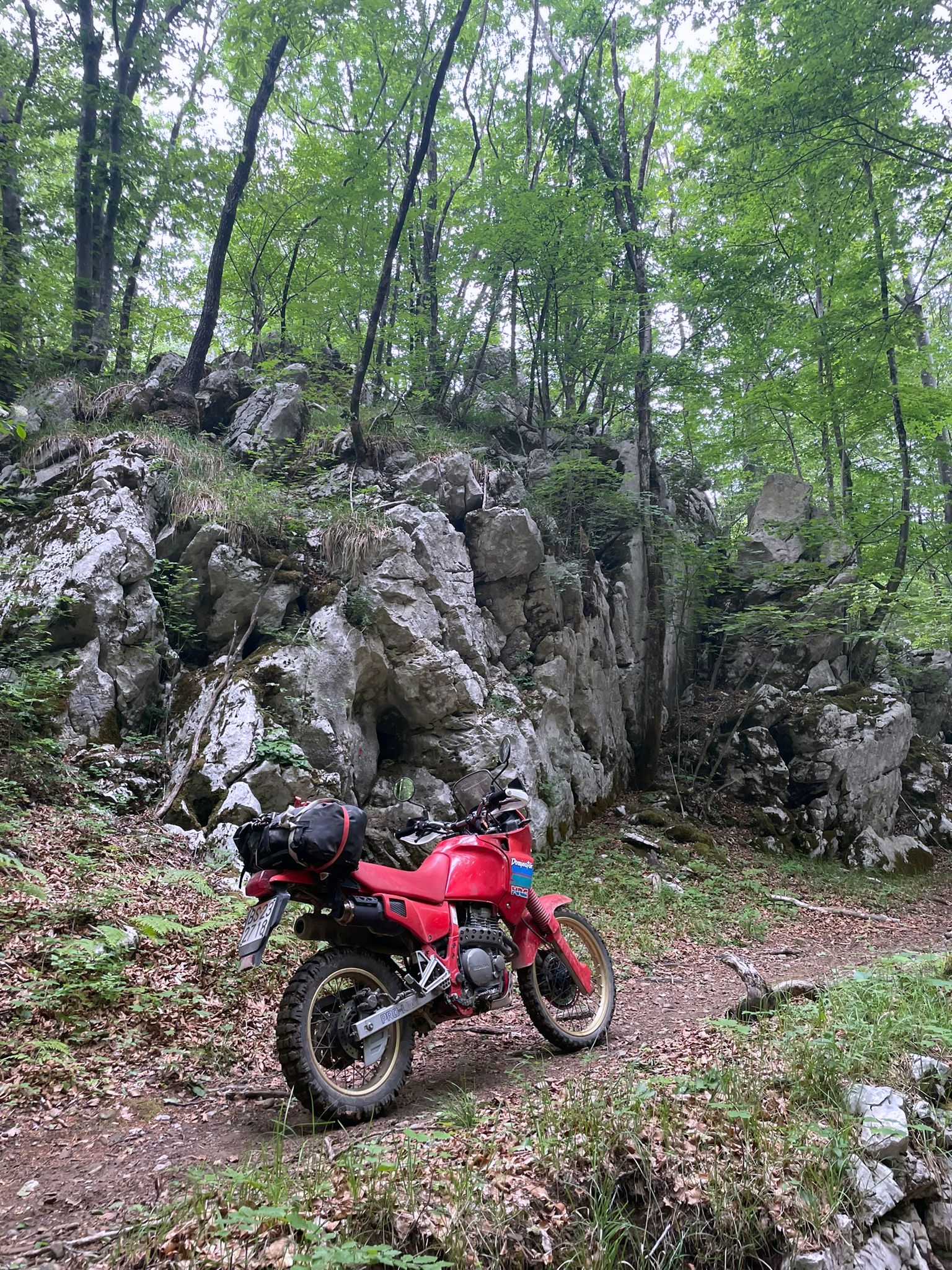 The Dominator, almost safe and sound shortly after the accident