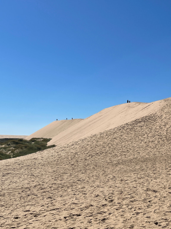 Landscape surrounding the Rubjerg Knude lighthouse