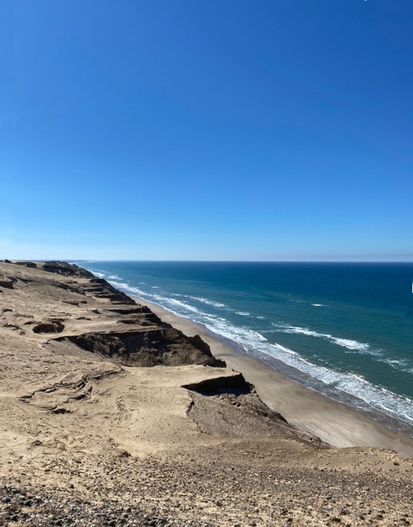 Landscape surrounding the Rubjerg Knude lighthouse