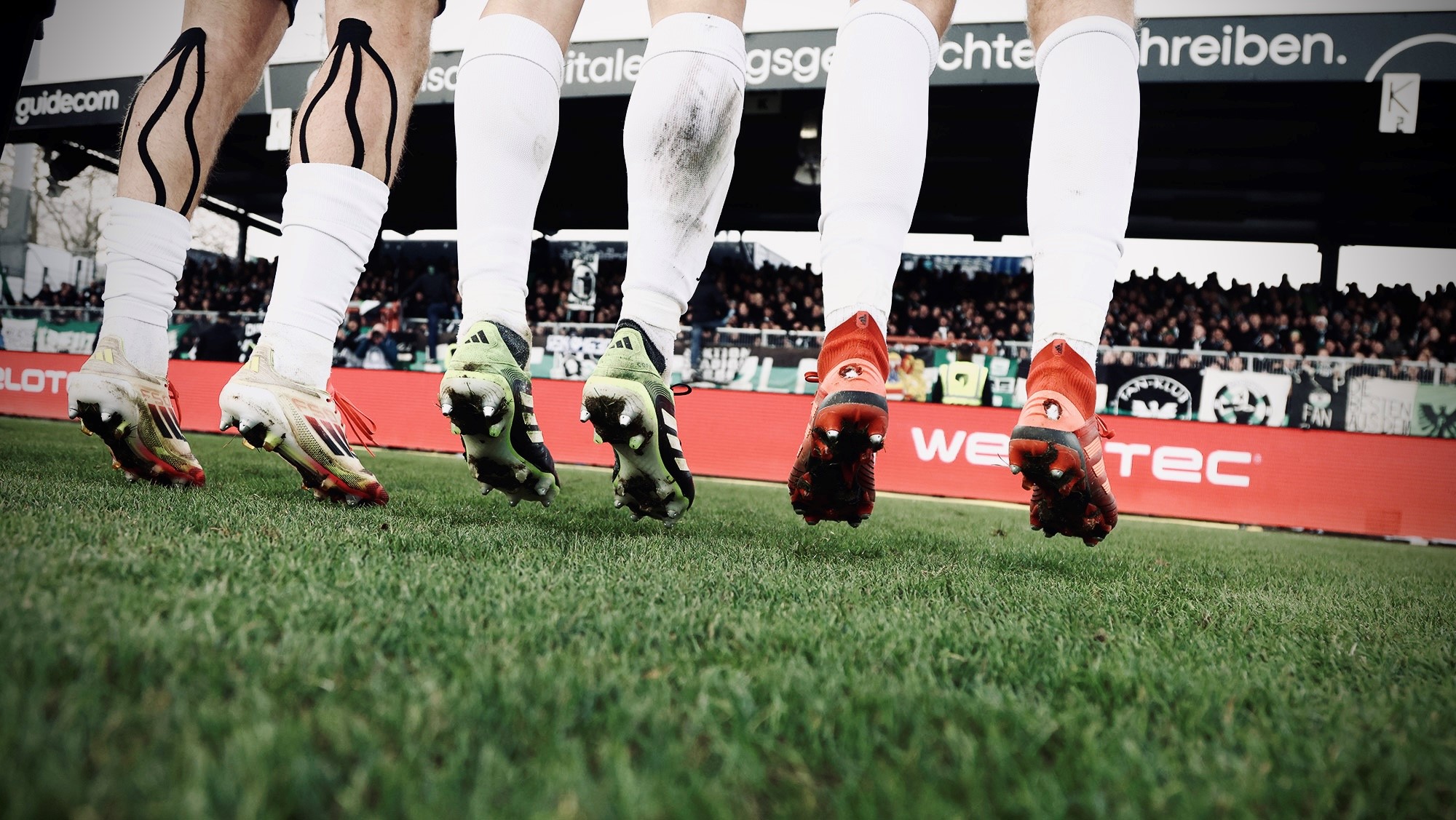 Deine Chance, ein Adlerträger zu werden: Wir suchen „Head Greenkeeper/in“