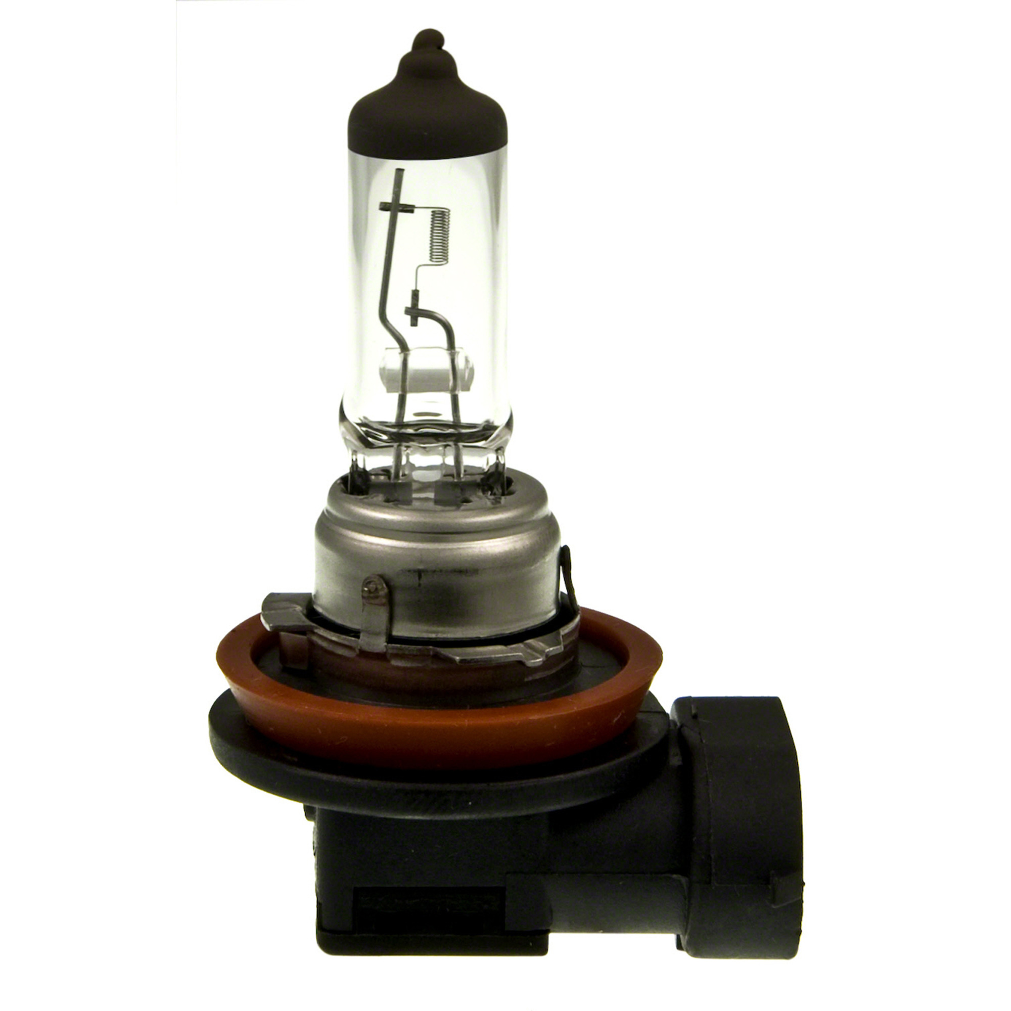 Multi-Purpose Light Bulb Wagner Lighting BP1235/H8