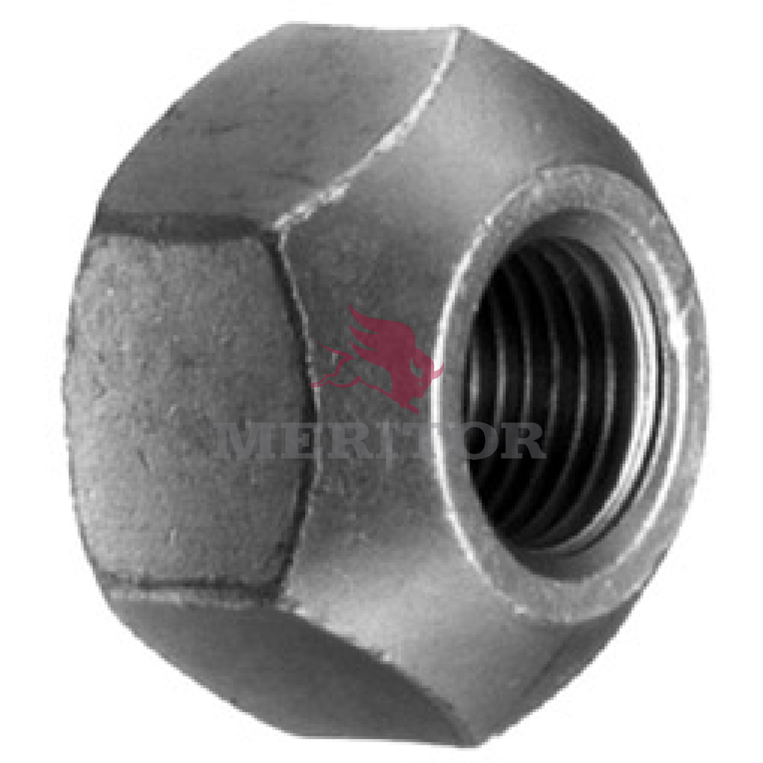 Wheel Cap Nut Meritor R009012R