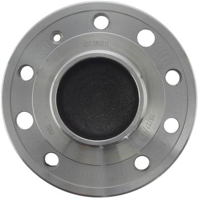 Wheel Bearing and Hub Assembly Centric Parts 40738001E