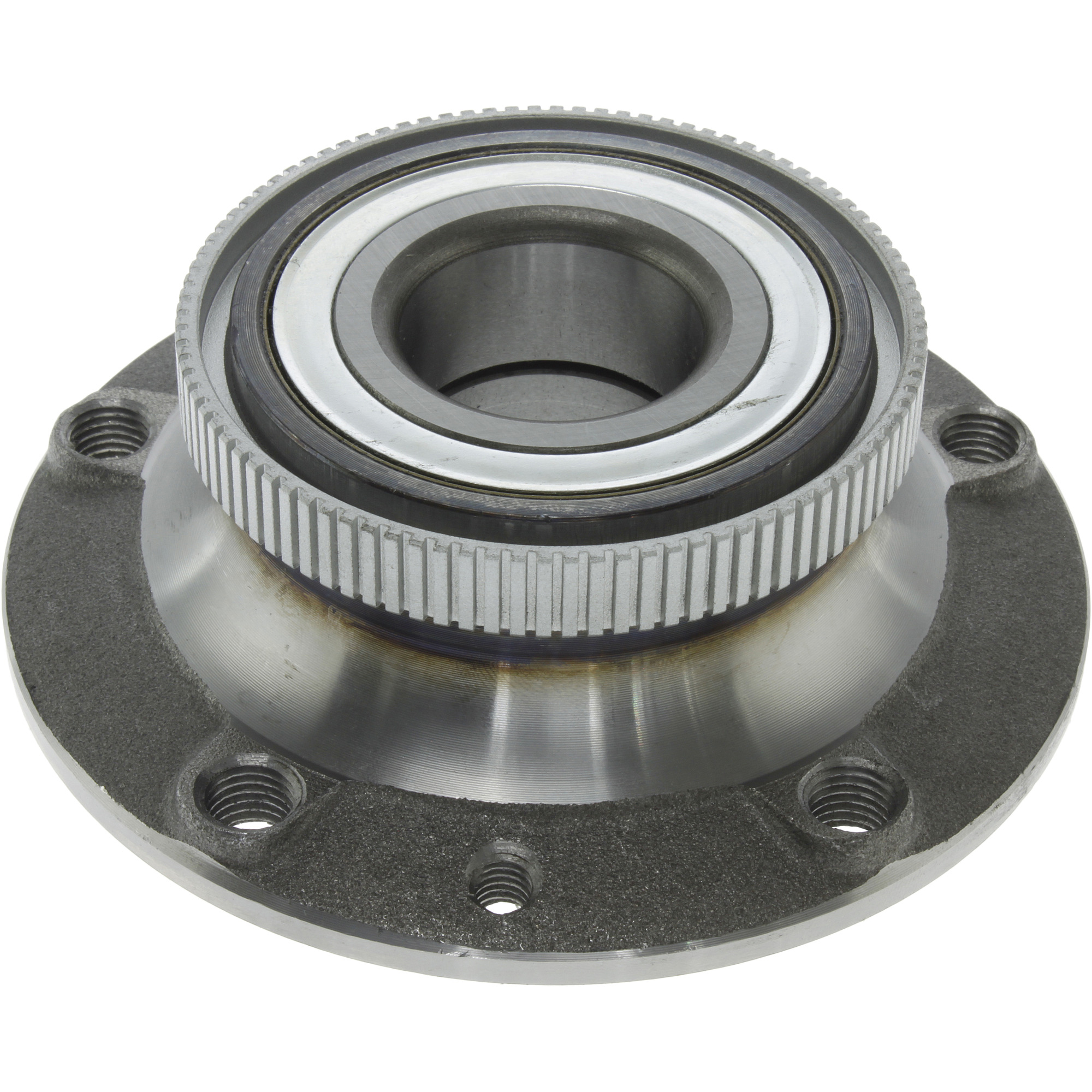 Wheel Bearing and Hub Assembly Centric Parts 40634000E