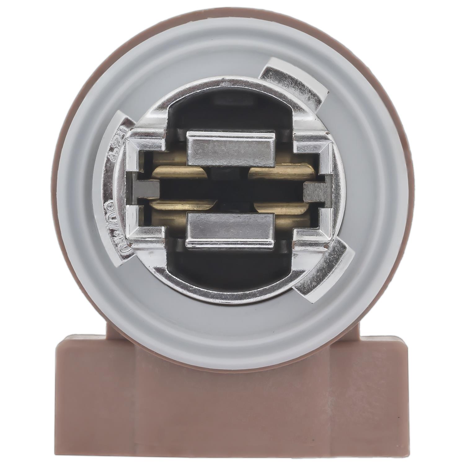 Back Up Light Socket Standard Ignition S2606