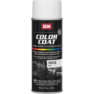 Paint SEM 15313