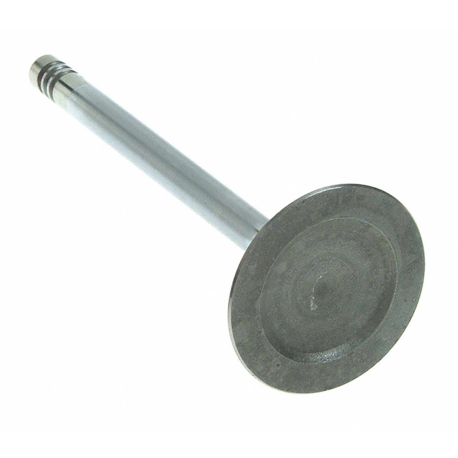 Engine Intake Valve Sealed Power V-2448