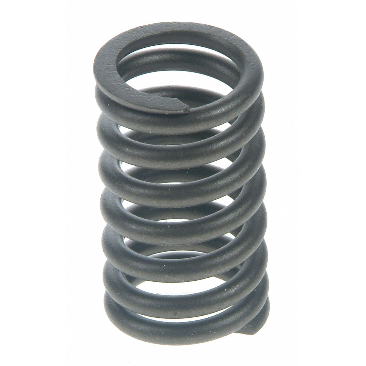 Engine Valve Spring Sealed Power VS-304