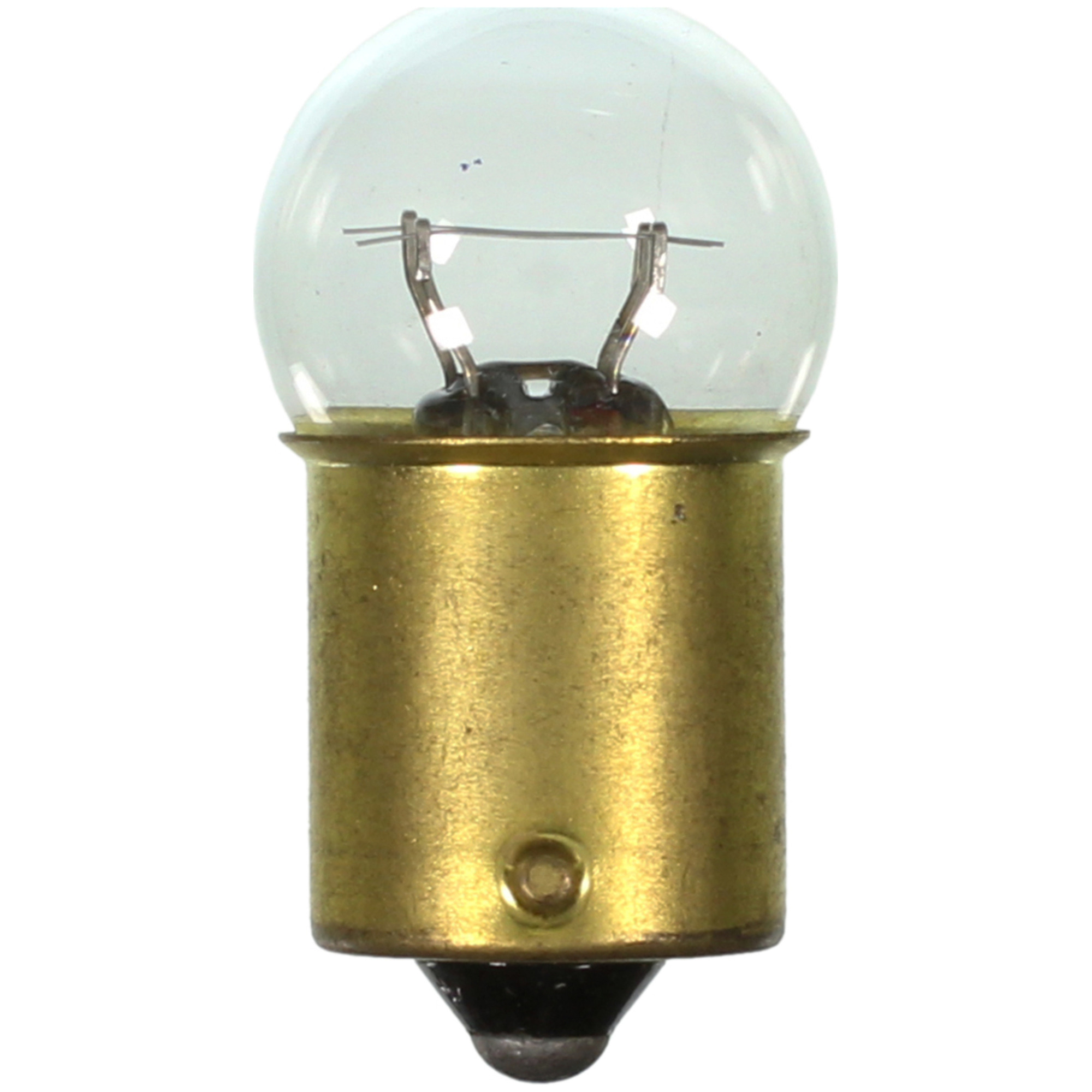 Multi-Purpose Light Bulb Wagner Lighting 623