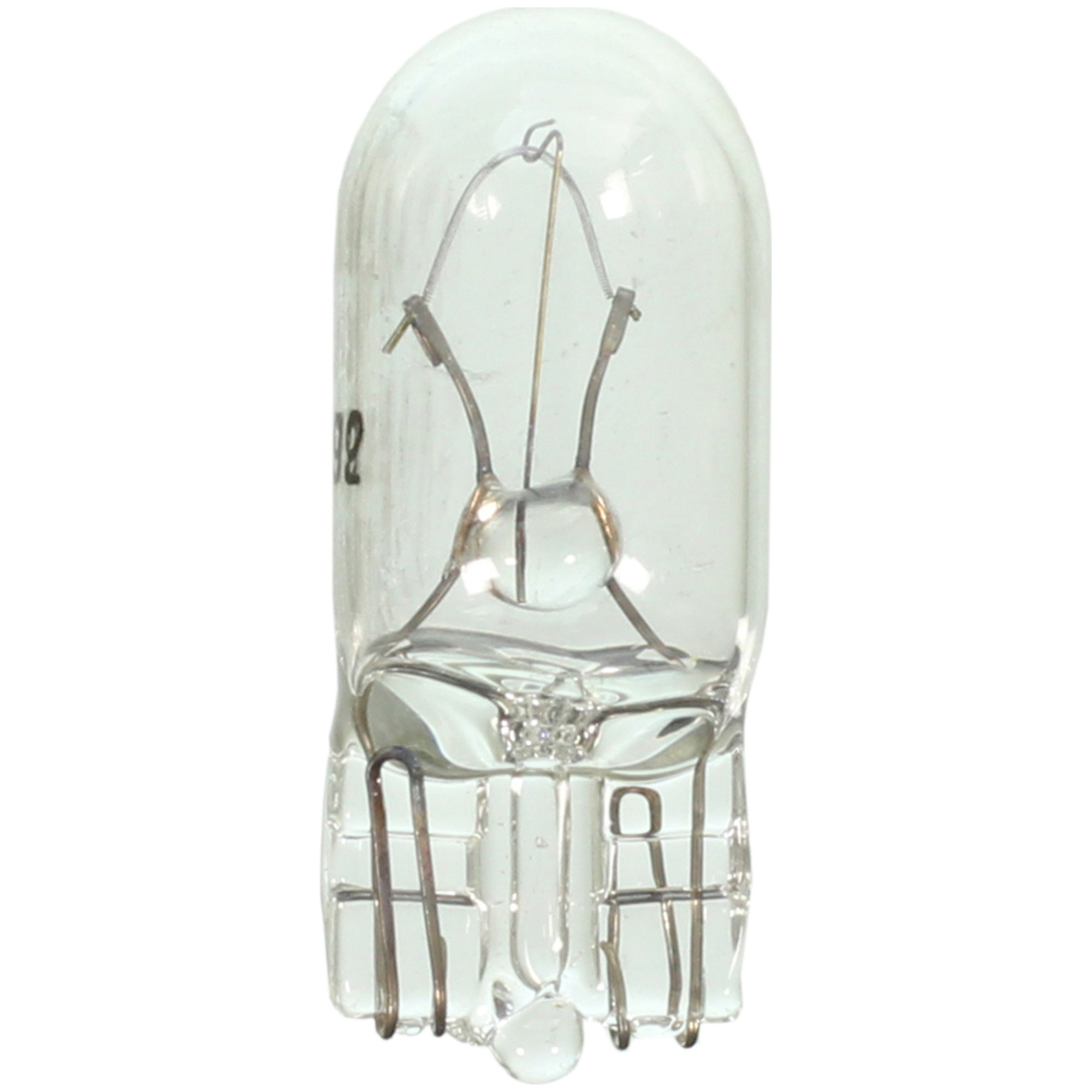 Multi-Purpose Light Bulb Wagner Lighting 192