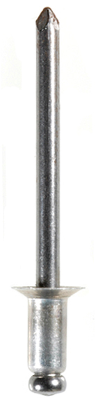 Rivet Auveco 8294