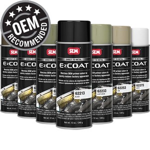 Paint SEM 62263