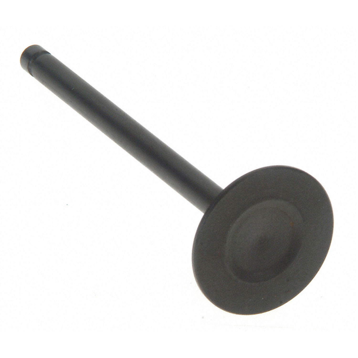 Engine Intake Valve Sealed Power V-2548
