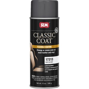 Paint SEM 17213