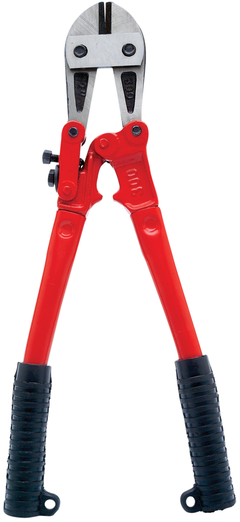 Bolt Cutter Project Pro 1919