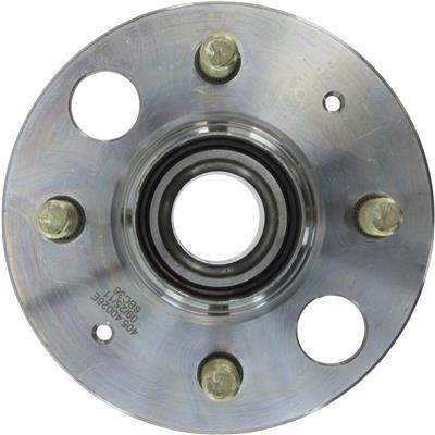 Wheel Bearing and Hub Assembly Centric Parts 40640016E