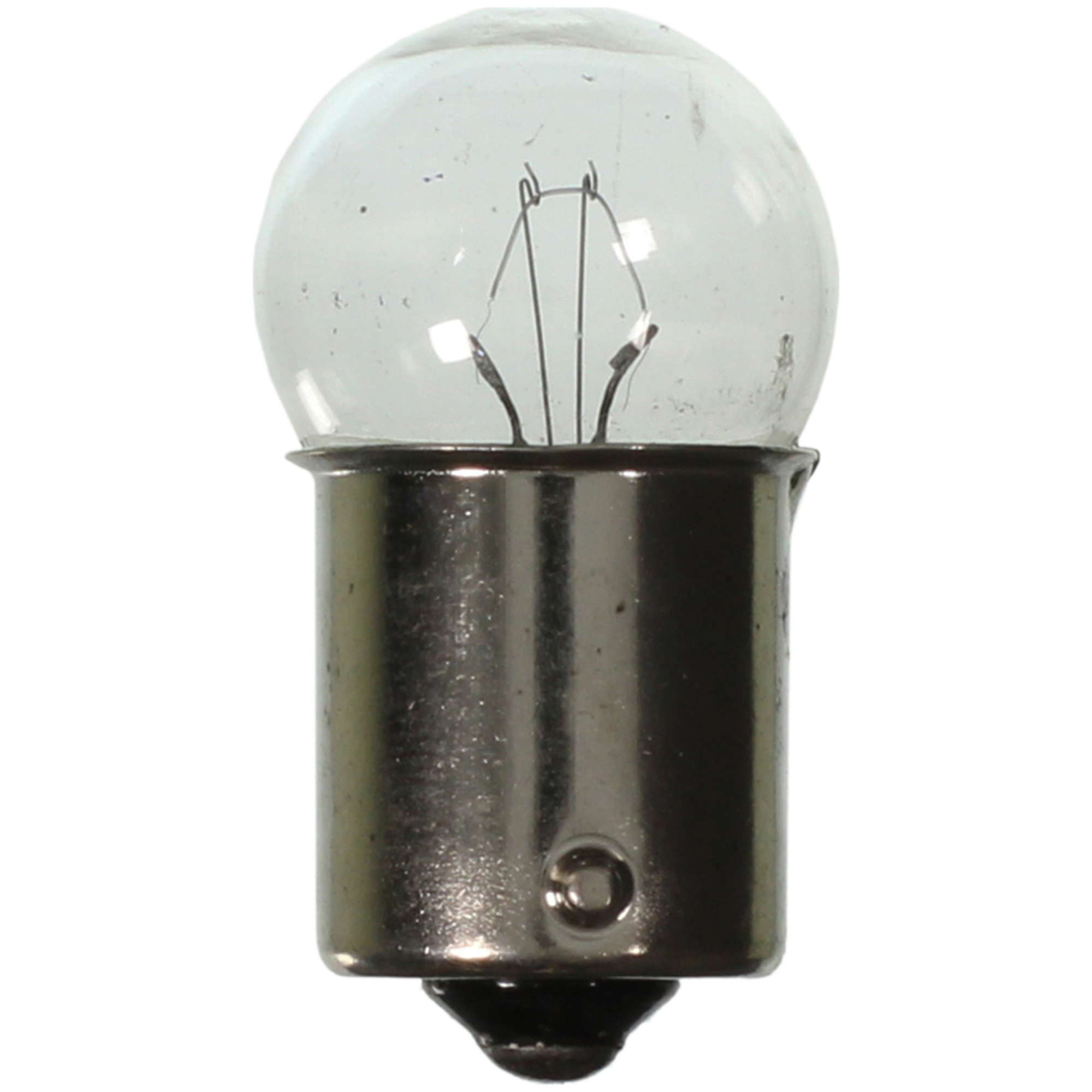 Multi-Purpose Light Bulb Wagner Lighting 303