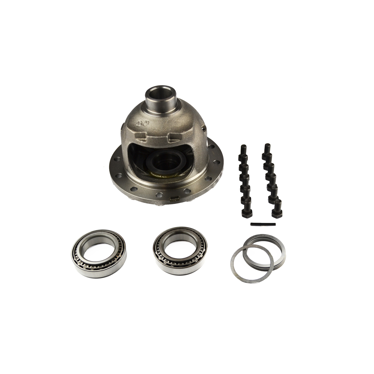 Differential Carrier Spicer 707216-1X