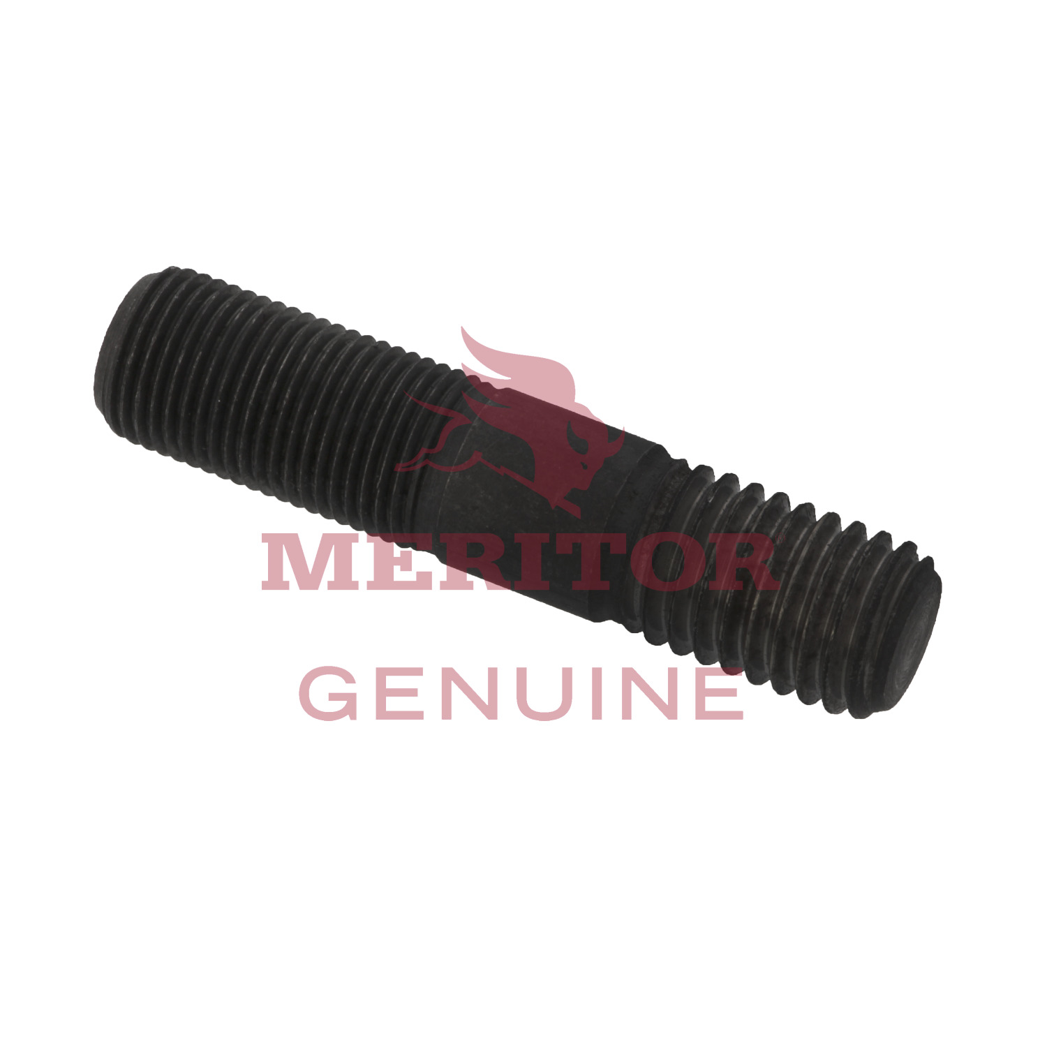 Stud Meritor SC10231