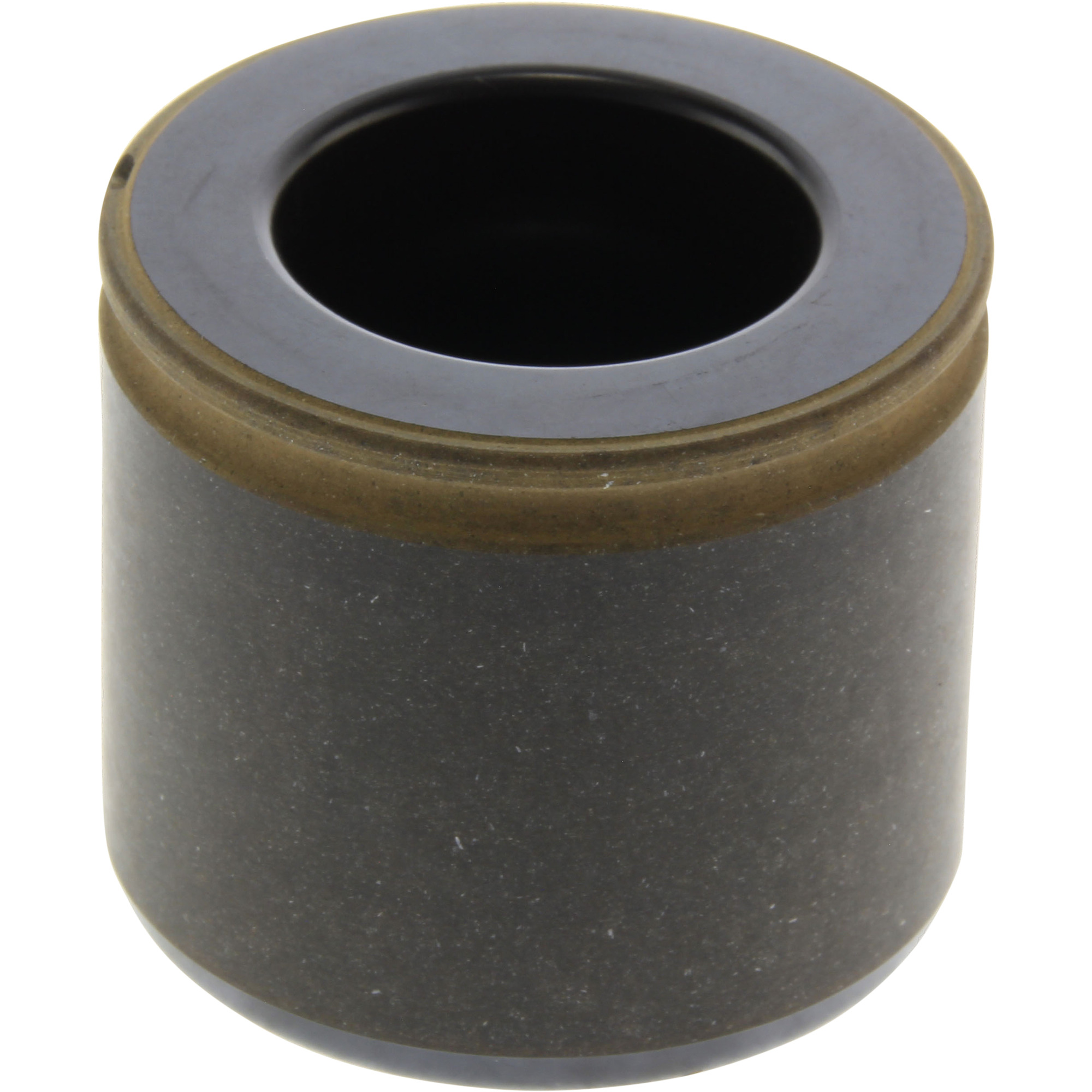 Disc Brake Caliper Piston Centric Parts 145.56001