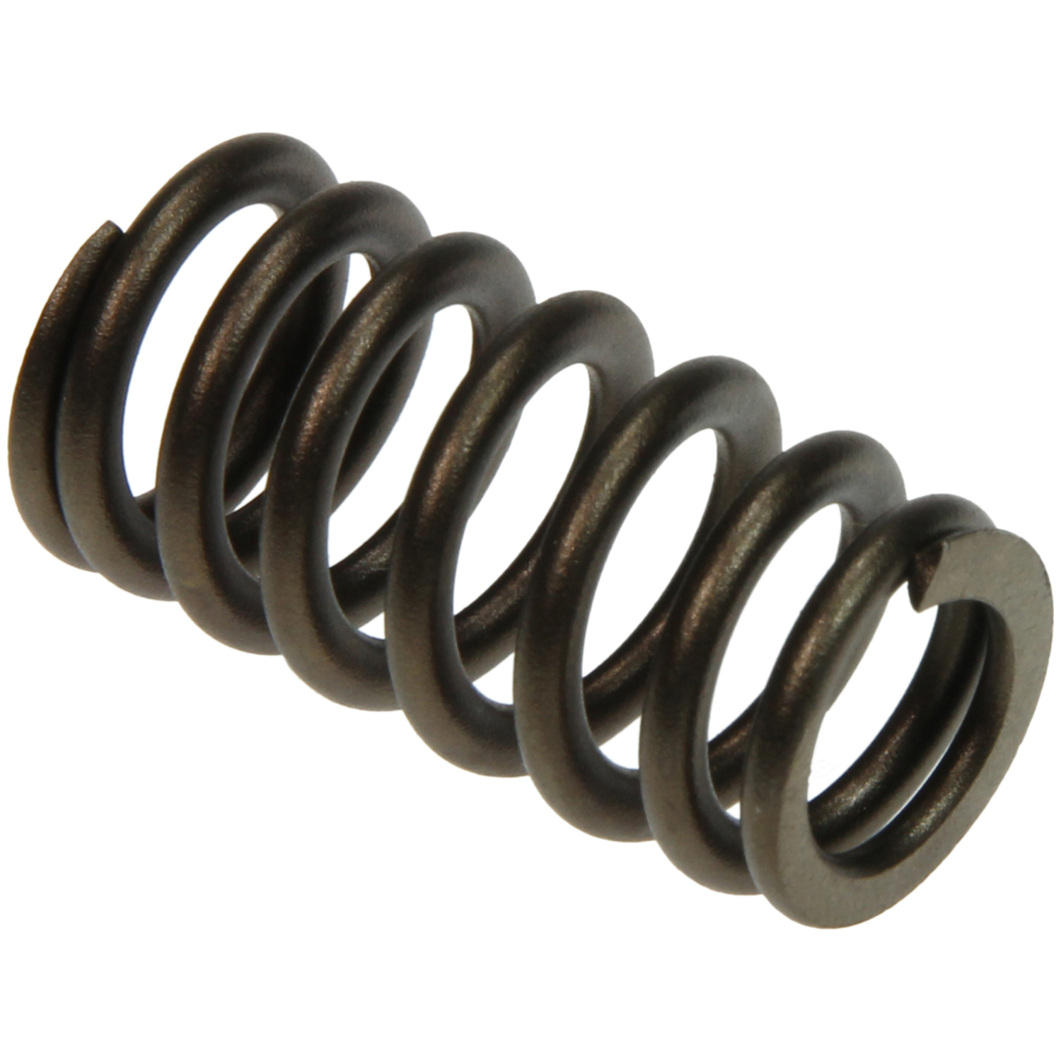 Engine Valve Spring Sealed Power VS-1663