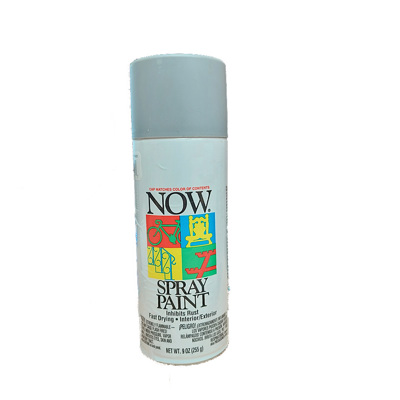 Spray Paint Krylon Now 21218