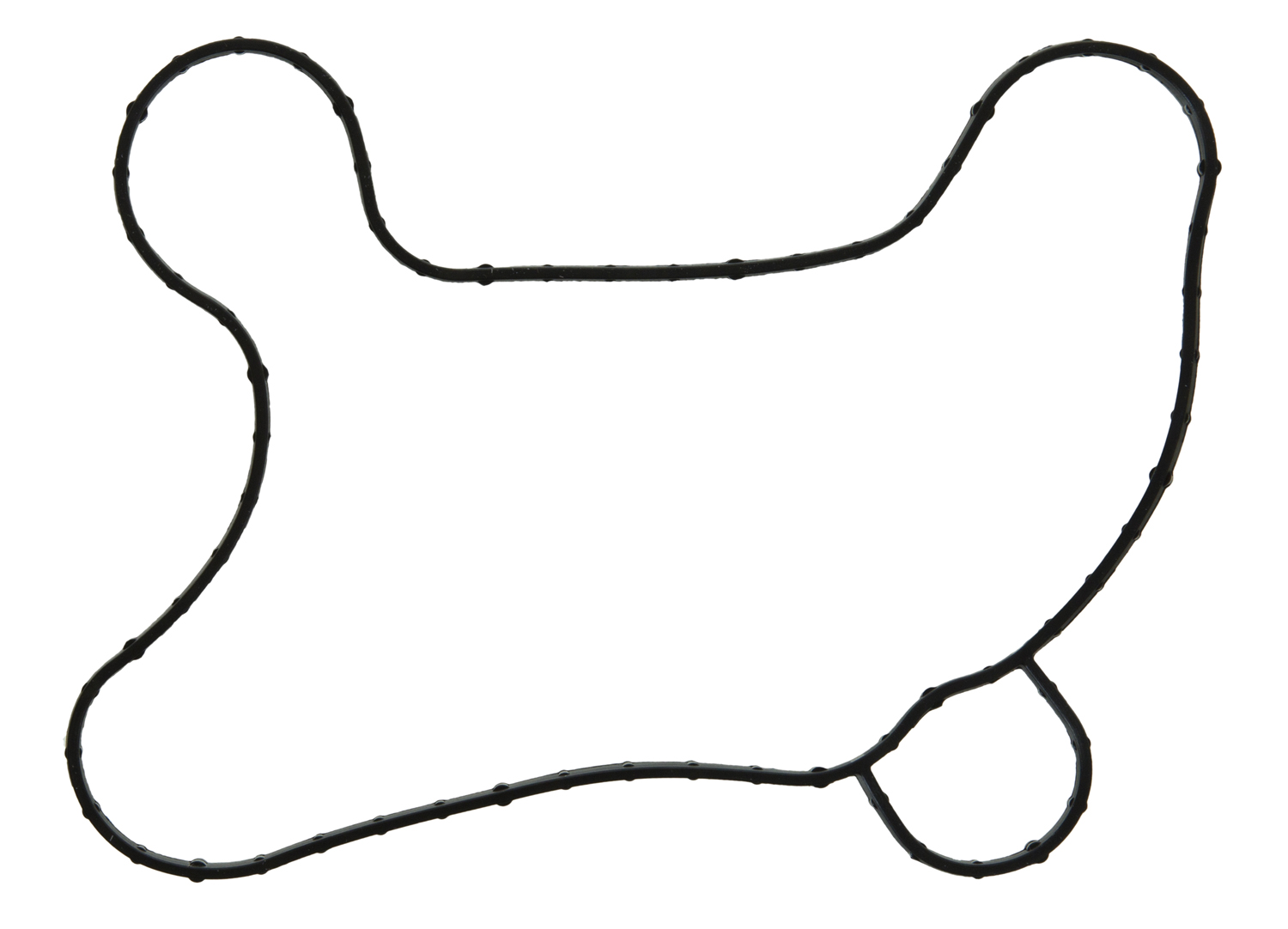 Engine Water Pump Gasket FEL-PRO 35996