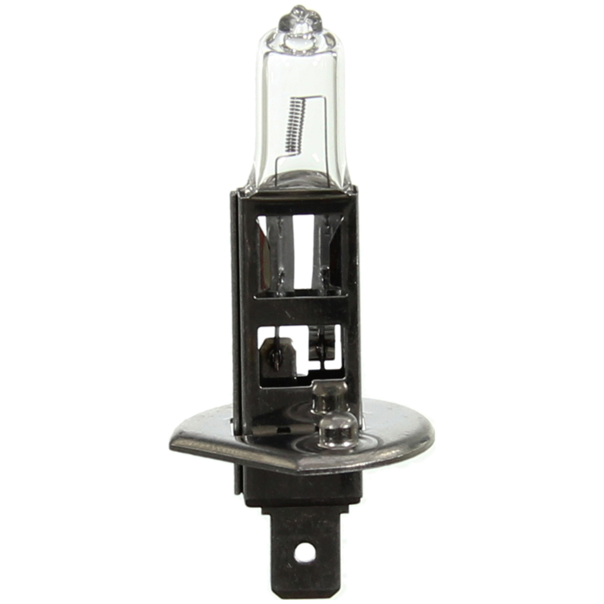 Multi-Purpose Light Bulb Wagner Lighting BP1210/H1