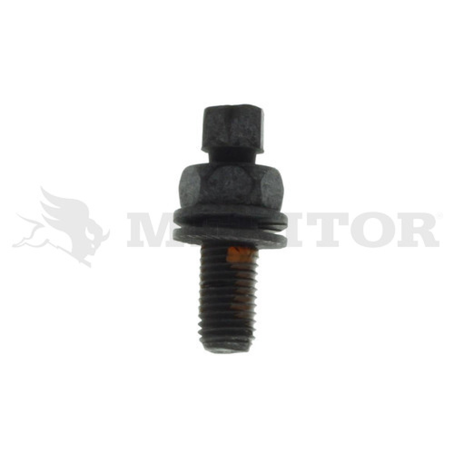 Screw Meritor S1792