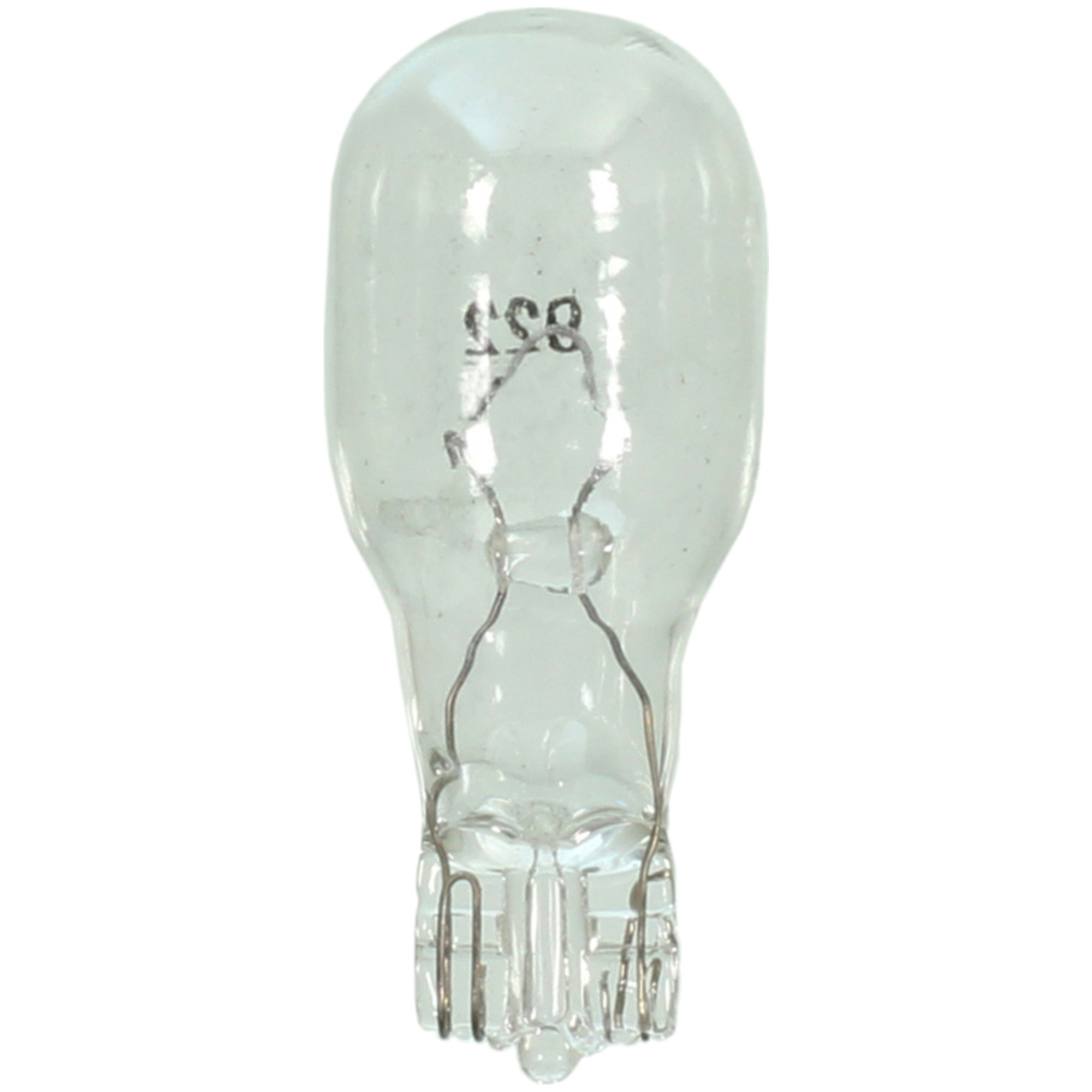Multi-Purpose Light Bulb Wagner Lighting BP922