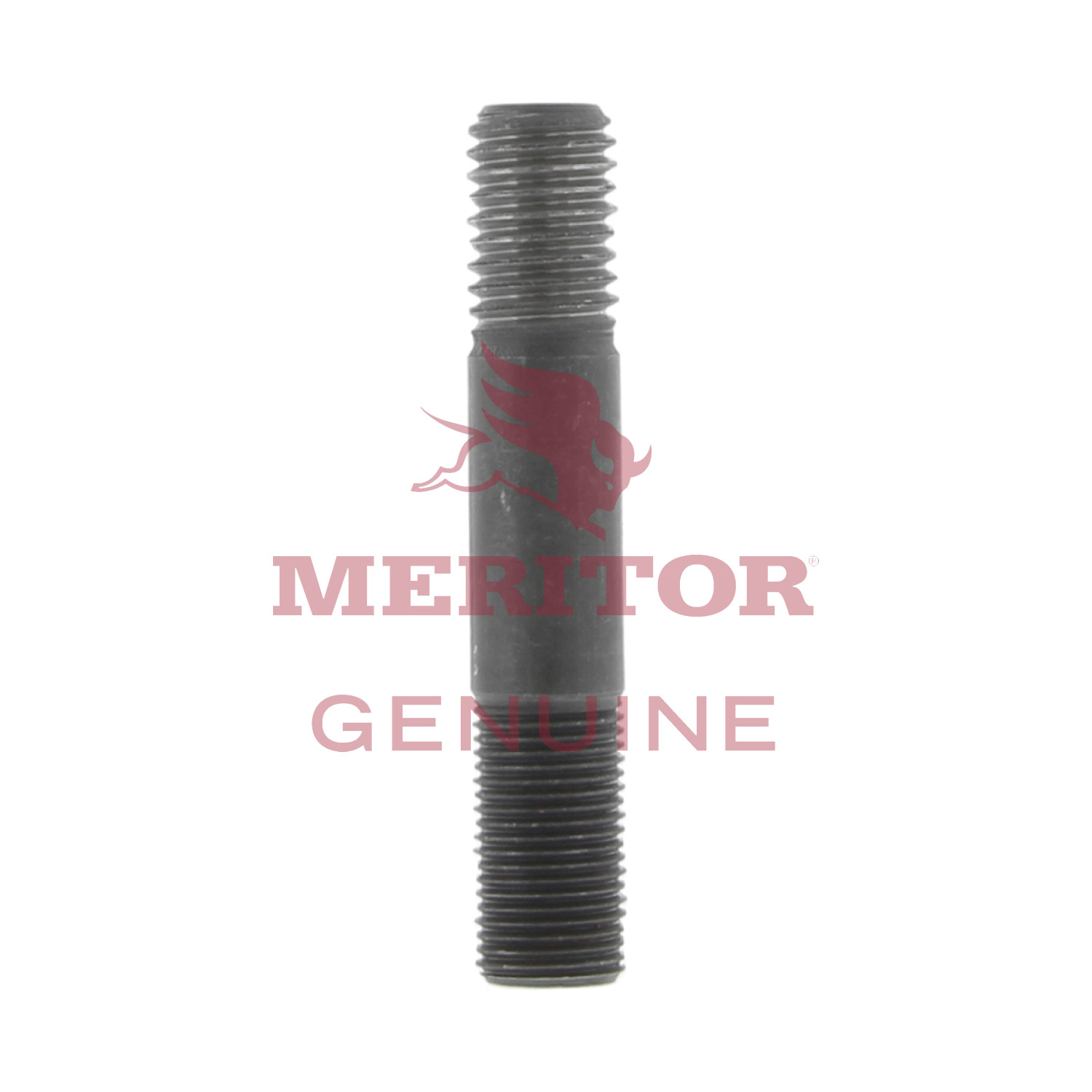 Stud Meritor SN10281